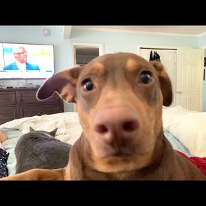 Meet your Posher, Roseanne